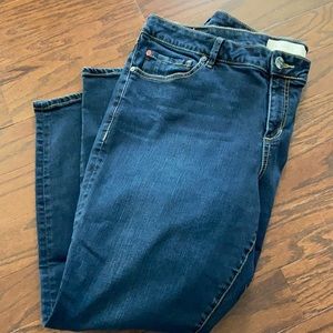 Slink curvy ankle jeans